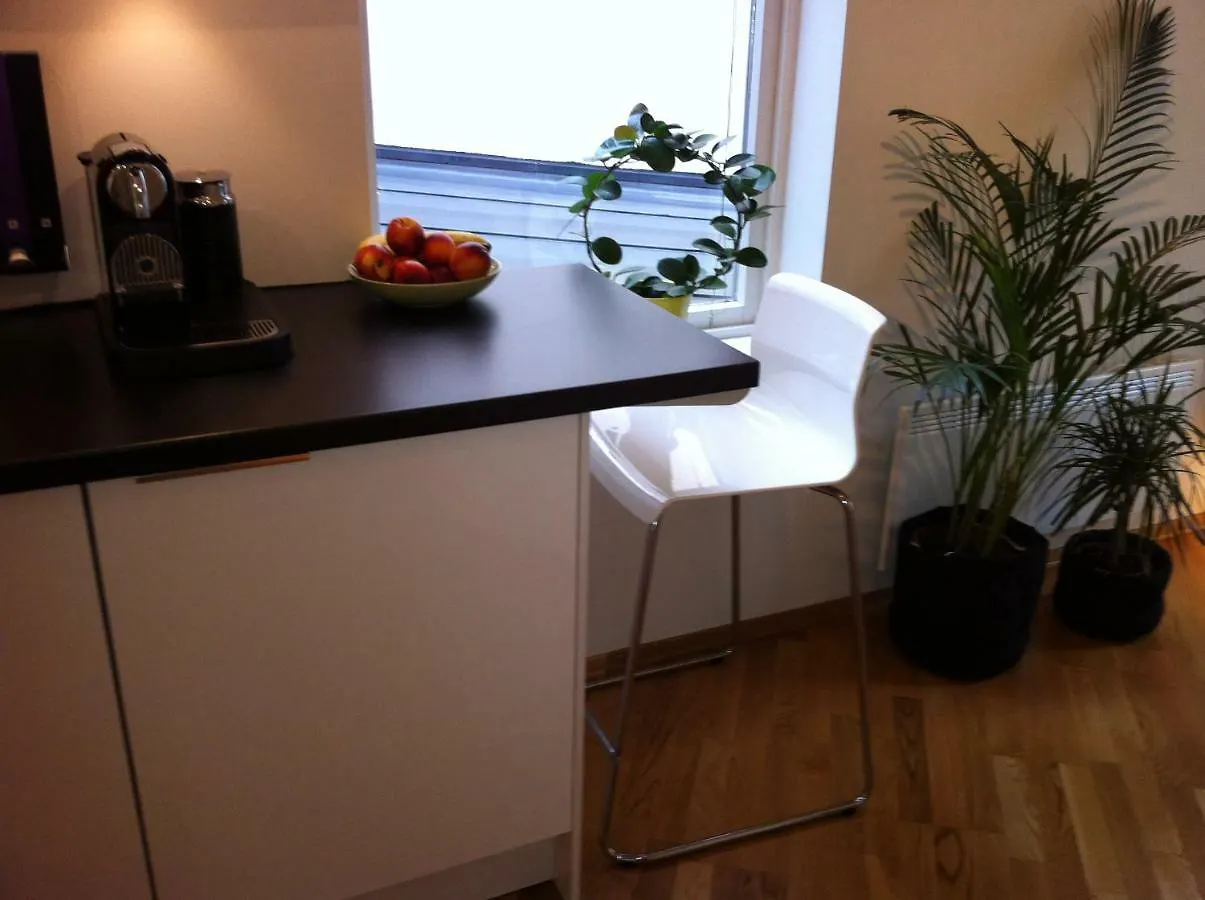 Central Location In The Heart Of Historic Bergen Apartment